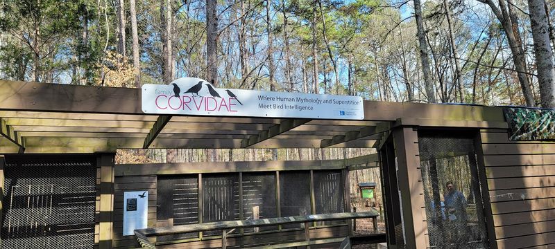 Carolina Raptor Center