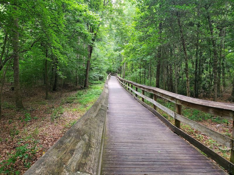 Cape Fear Mountain Bike Trail
