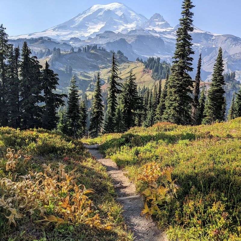 Wonderland Trail