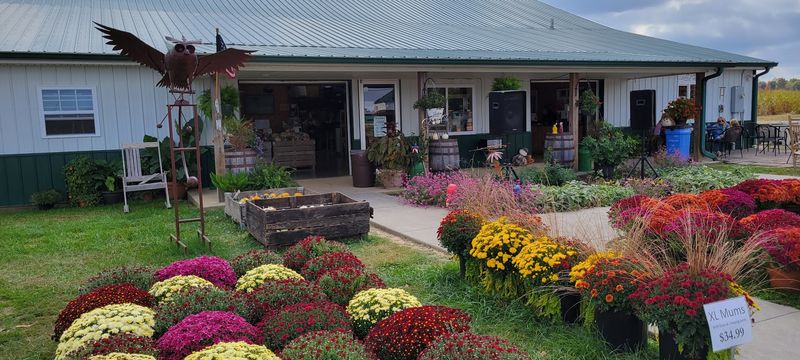 A Genuine Community Farm Experience Close To Home