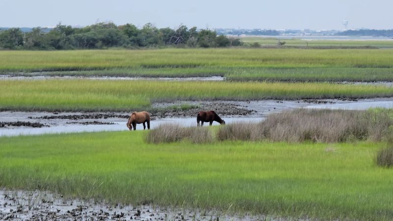 The 1.1-Mile Outer Loop Turns Low Tide Into The Main Event