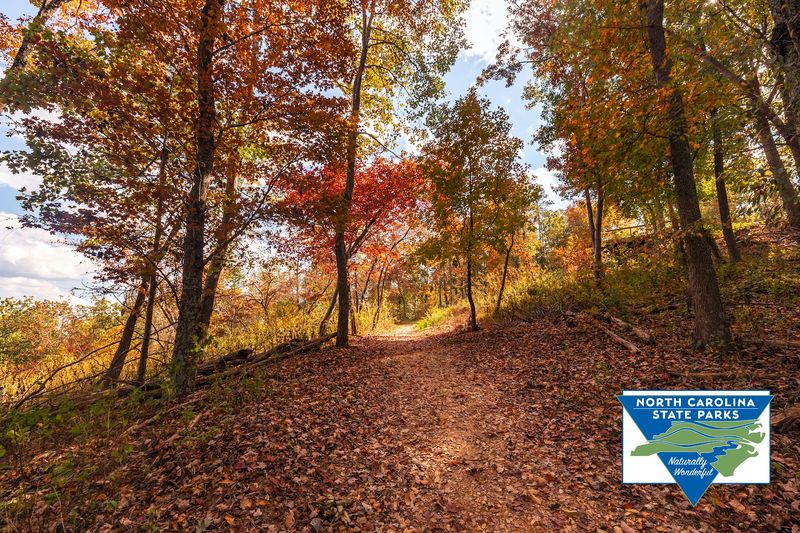 Morrow Mountain State Park - Quarry Trail