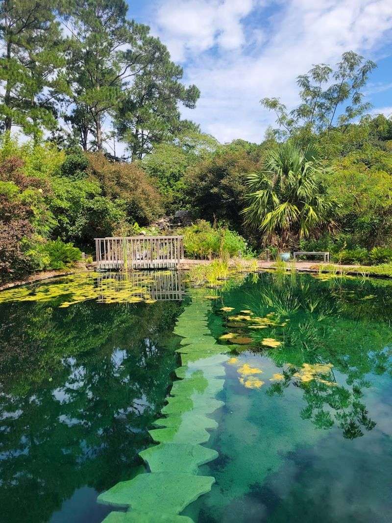 Coastal Georgia Botanical Gardens At The Historic Bamboo Farm
