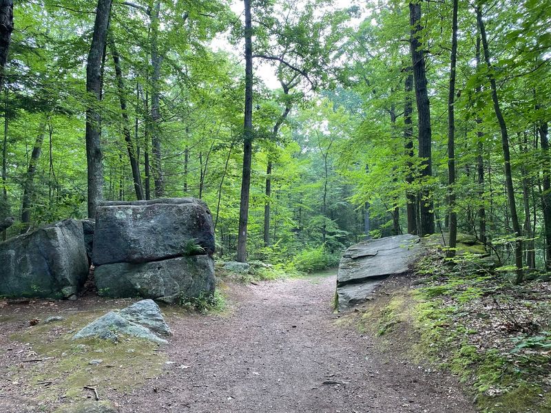 A Trail Network Made For Different Skill Levels