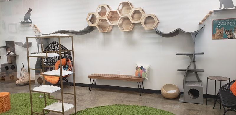 A Clean And Well-Maintained Space That Feels Comfortable