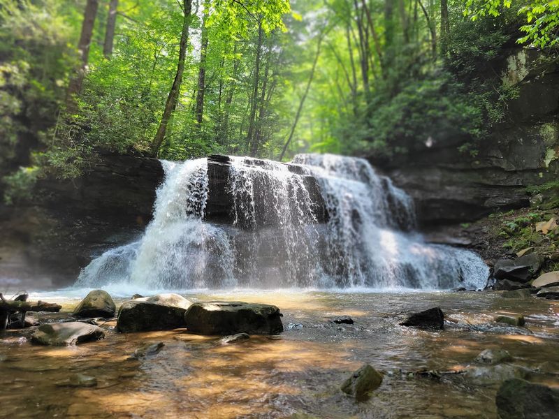Holly River State Park