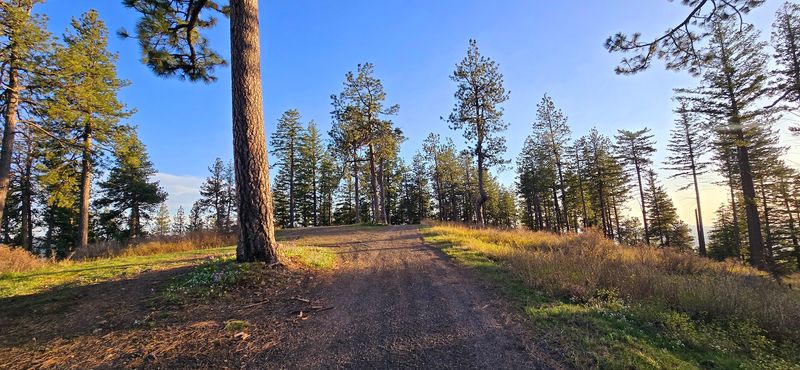 Unpaved Roads Keep The Crowds Somewhere Else