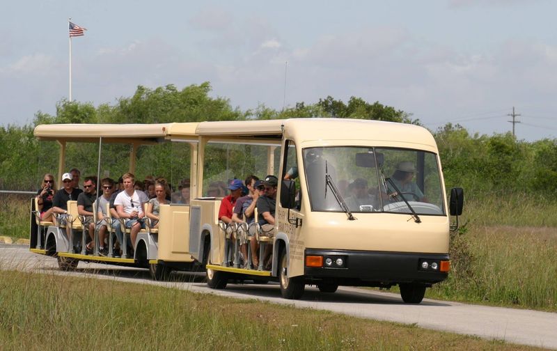 Shark Valley Tram Tour At Everglades National Park