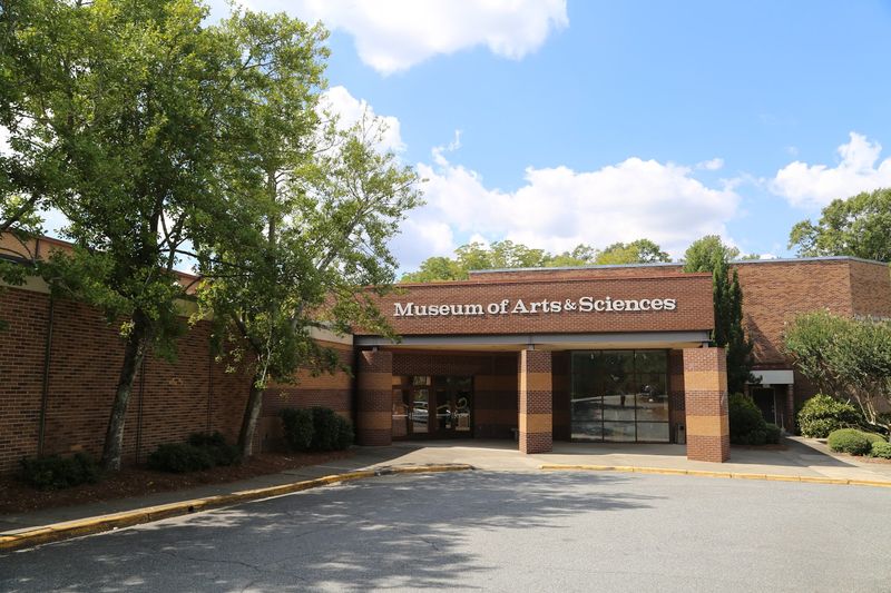 Museum of Arts and Sciences, Macon