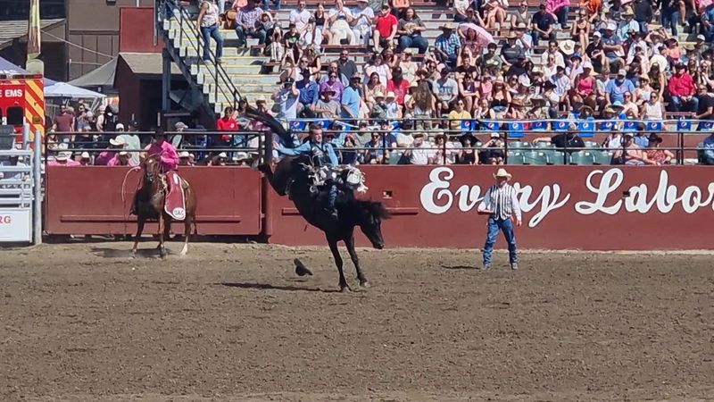 Rodeo Culture And Community Pride