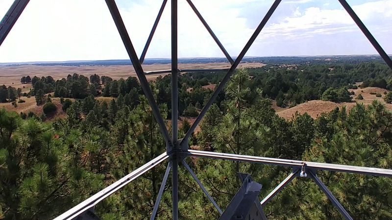 The Ponderosa Pine Forest Experience