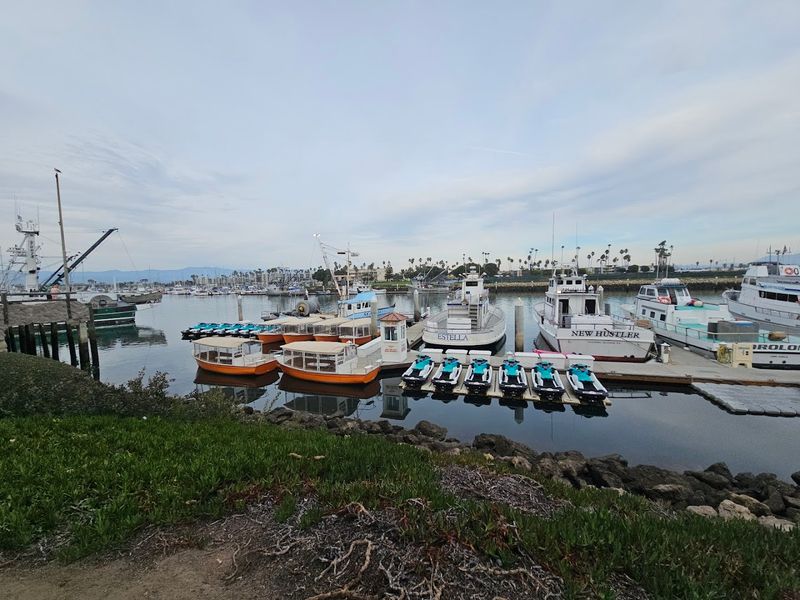 Channel Islands Fish Market