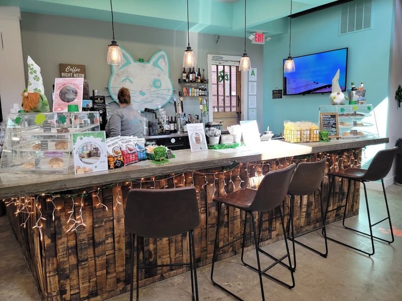 Kid-Friendly Environment That Families Keep Coming Back To