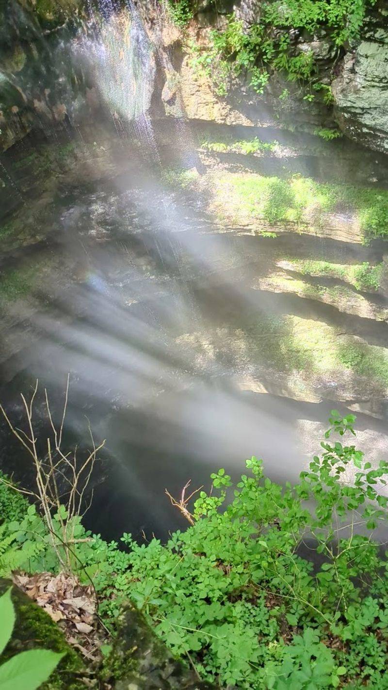 Neversink Cave Preserve