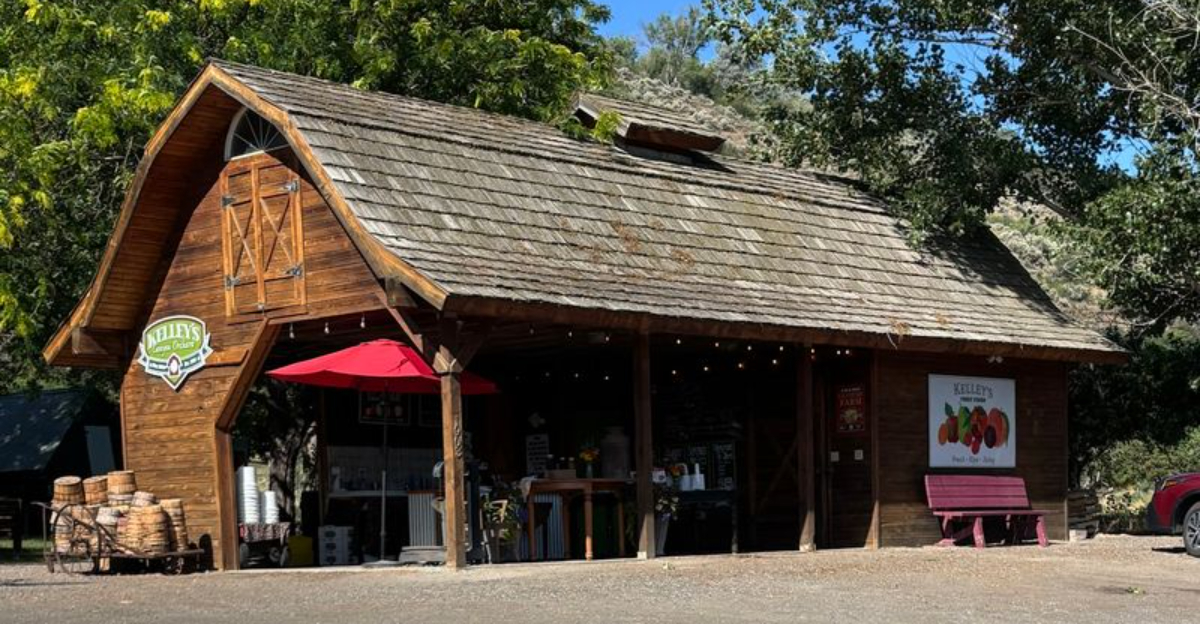 Cherry Picking In Idaho Starts Soon And This Farm Lets Visitors Fill A Bucket With Fresh Fruit - Decor Hint