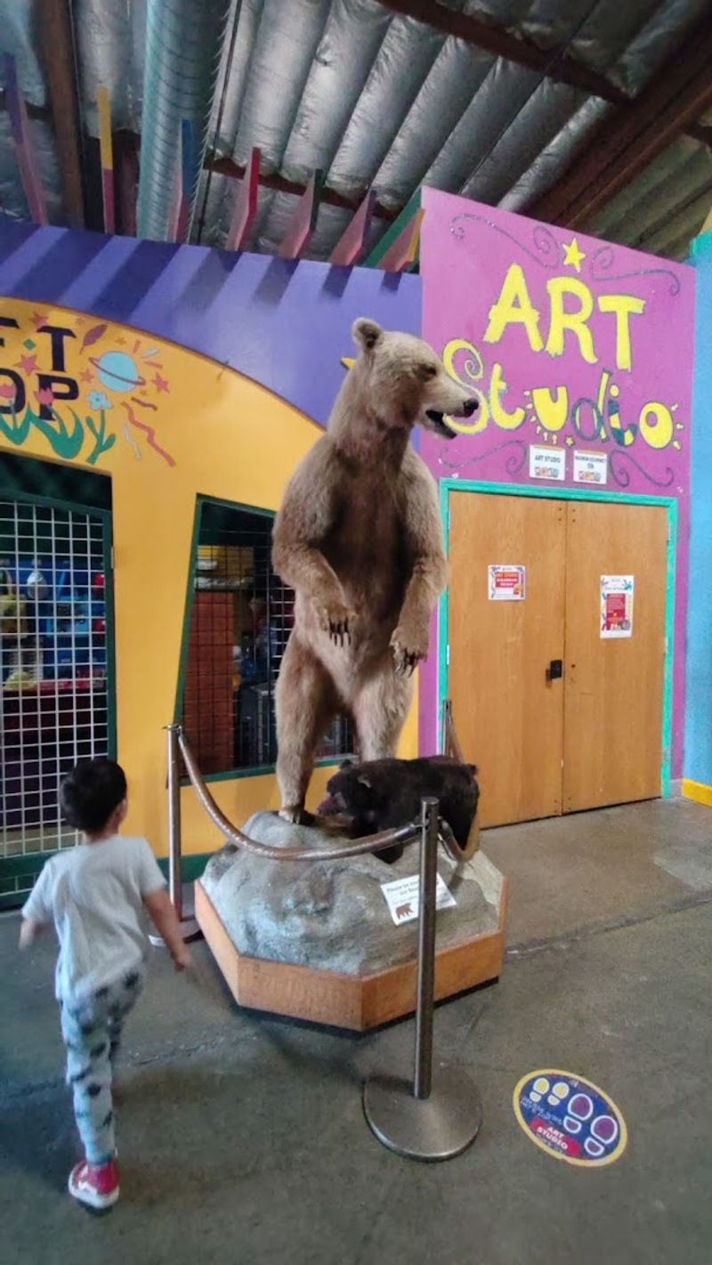 Art Studio And Programming