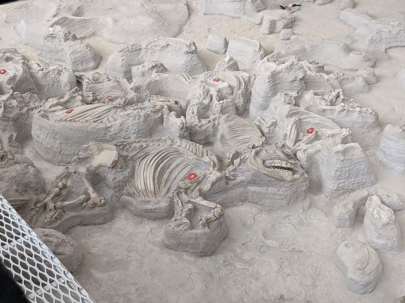 Ashfall Fossil Beds State Historical Park, Royal