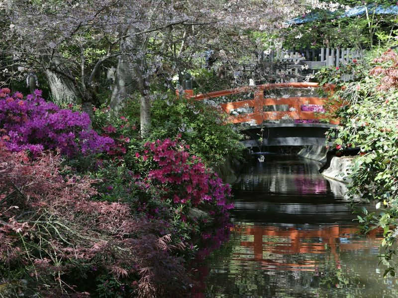 Descanso Gardens, La Cañada Flintridge