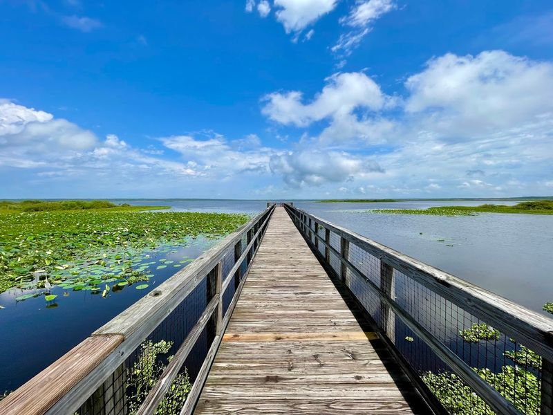 Paynes Prairie Next Door