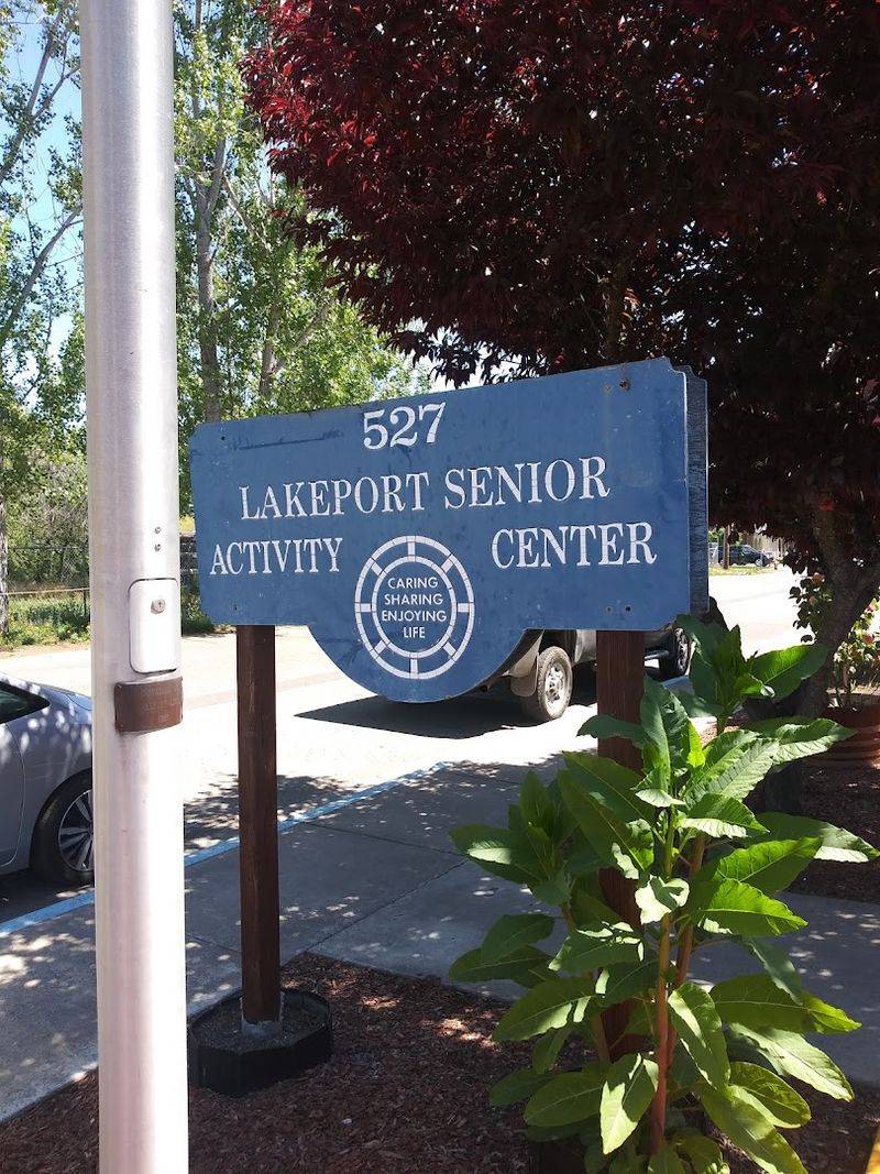 The Senior Support Network Already In Place