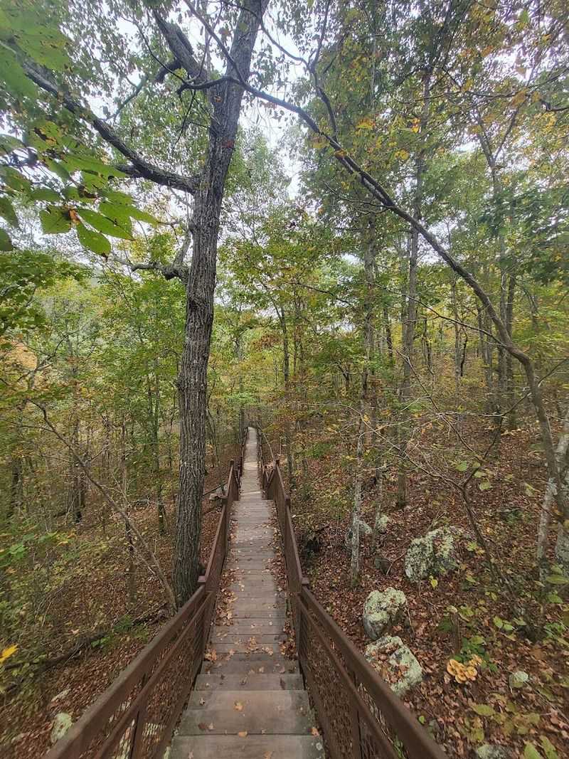 Hiking Trails That Reward Every Step