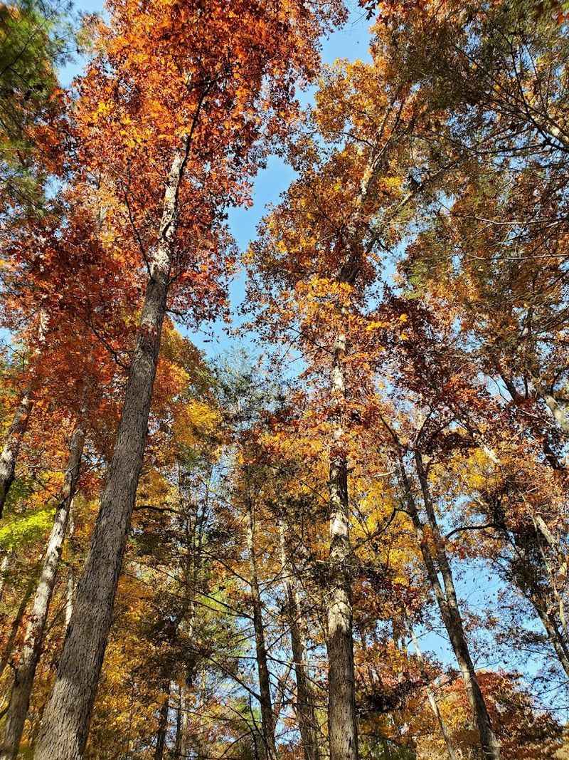 Stunning Fall Foliage Season Views