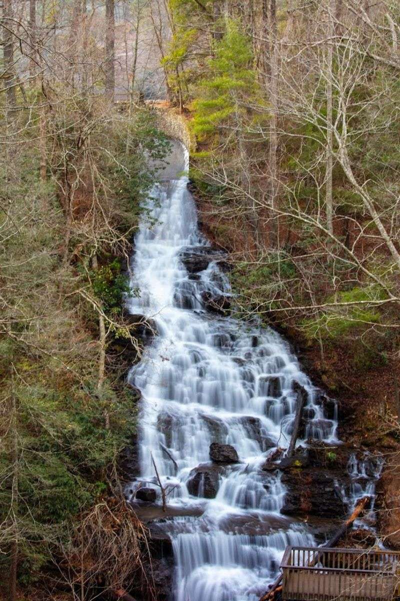 Vogel State Park Bear Hair Gap Trail