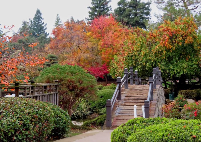 Shinzen Friendship Garden