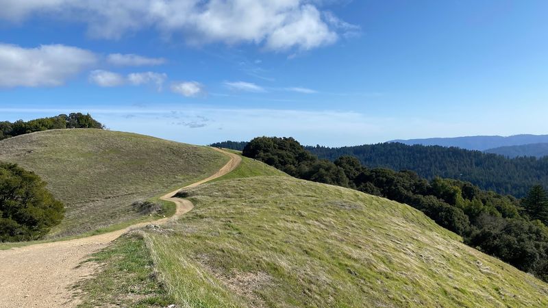 These 13 Dog-Friendly Trails In Northern California Are Perfect For A Weekend Outing - Decor Hint Long Ridge Open Space Preserve, La Honda