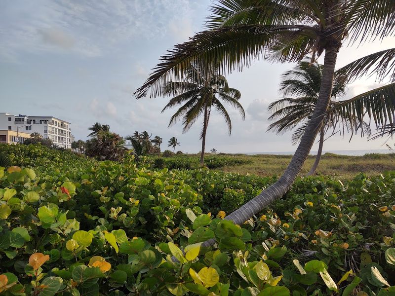 Florida Has 18 Small Towns And Cities So Genuinely Beautiful That Every Single One Deserves A Longer Stay - Decor Hint Delray Beach, Palm Beach County