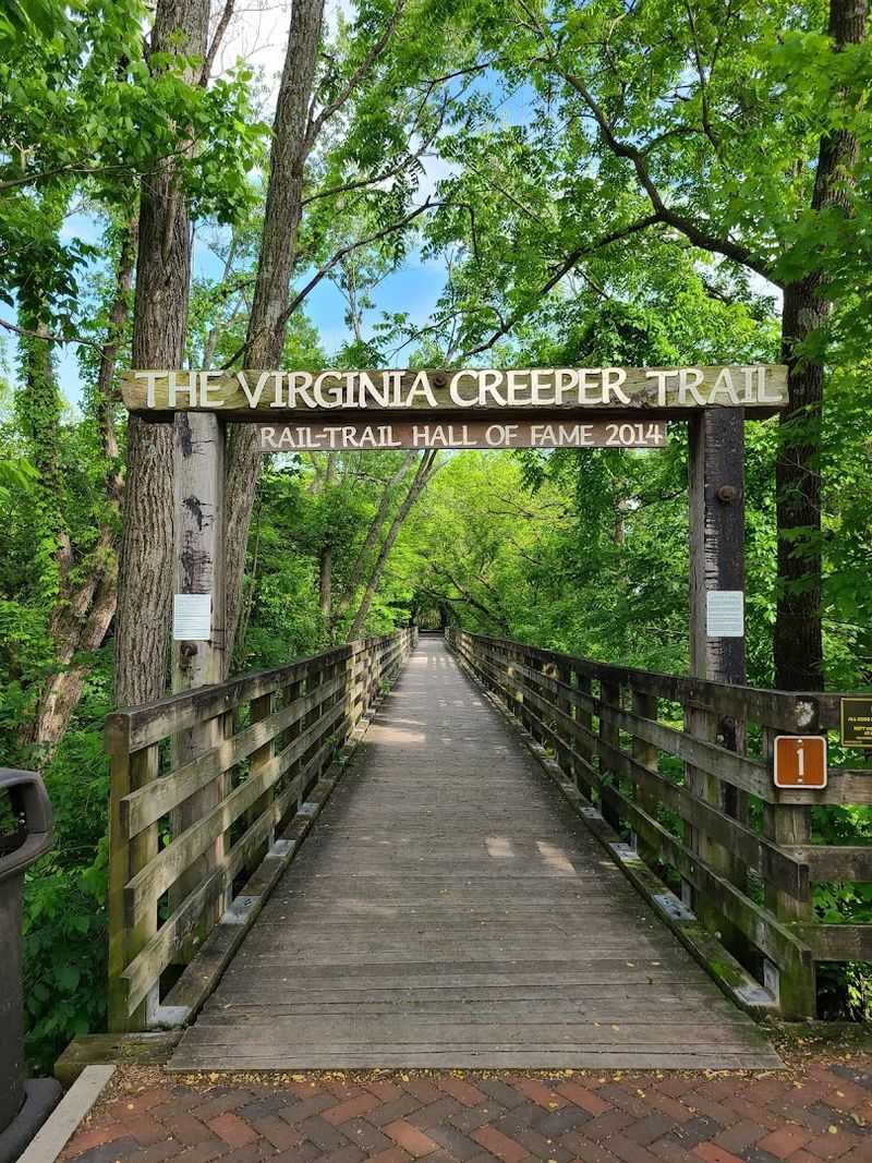 The Virginia Creeper Trail Connection