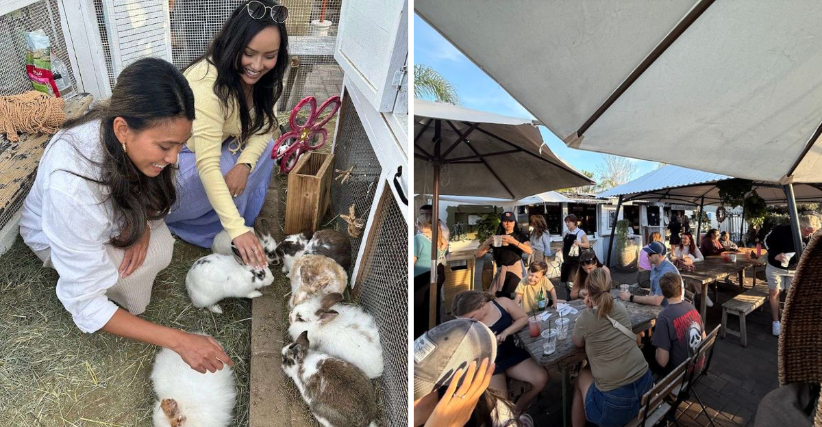 Coffee With Garden Bunnies Inside Californias Cutest Animal Cafe - Decor Hint
