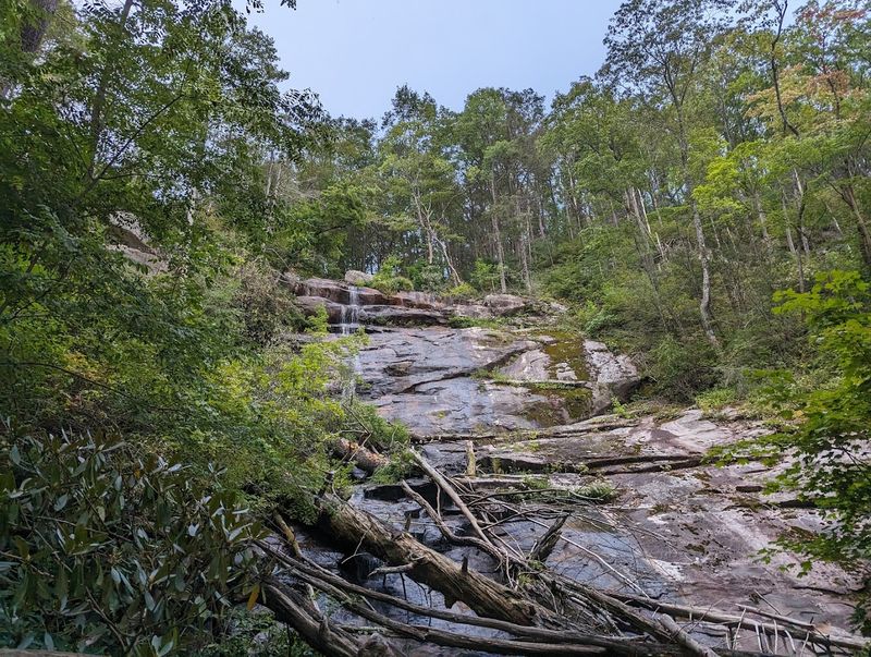 Cohutta Wilderness Solitude That Feels Genuinely Wild