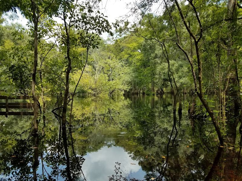 Outdoor Life Beyond The Beach