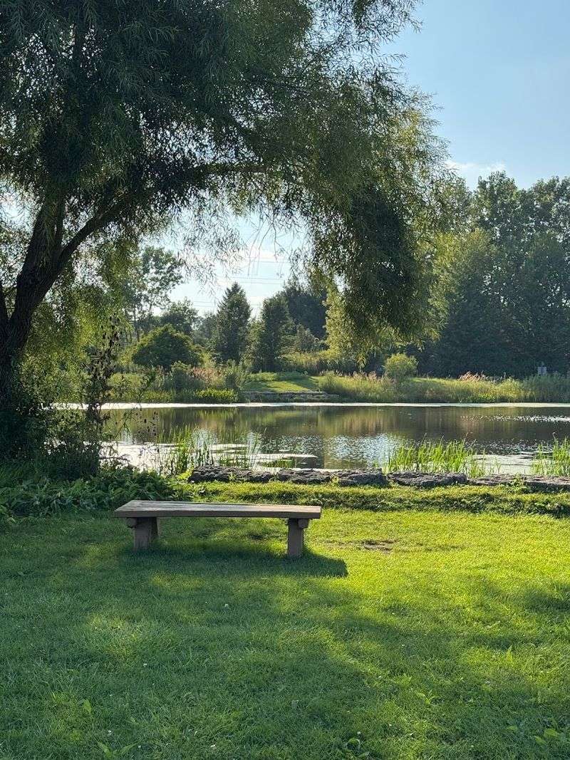Picnic Spots, Walking Paths, And Green Space
