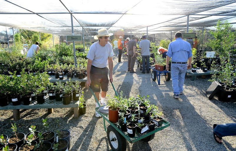 The Poppy Shop And The Grow Native Nursery