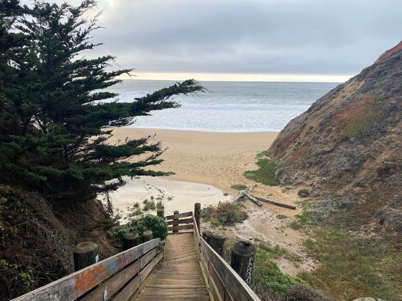 Gray Whale Cove State Beach, Montara