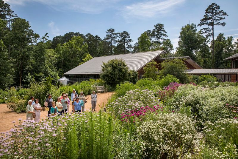 12 North Carolina Summer Day Trips That Are Big On Fun And Easy On The Wallet - Decor Hint Native Plants, Quiet Trails, And Free Summer Wandering