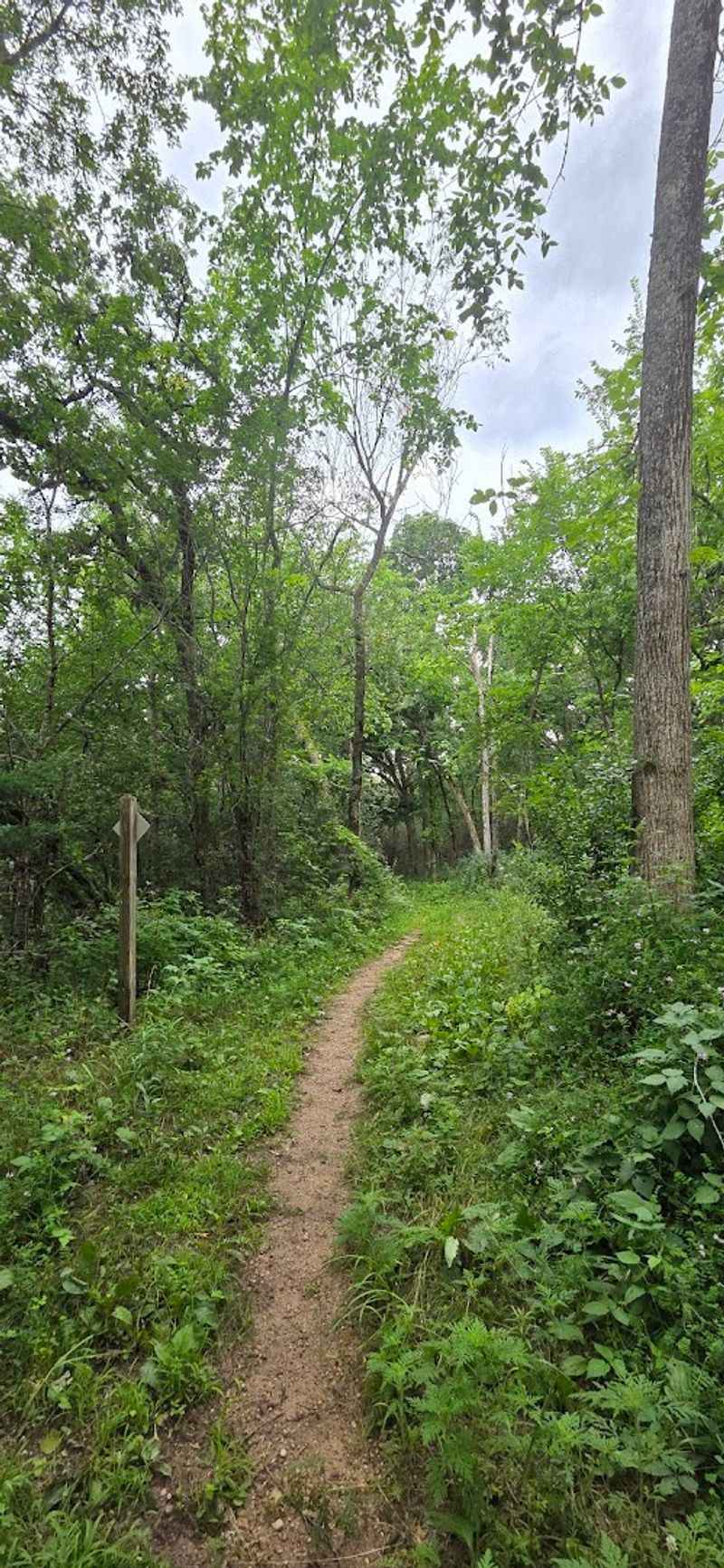 Kettle Moraine State Forest Southern Unit