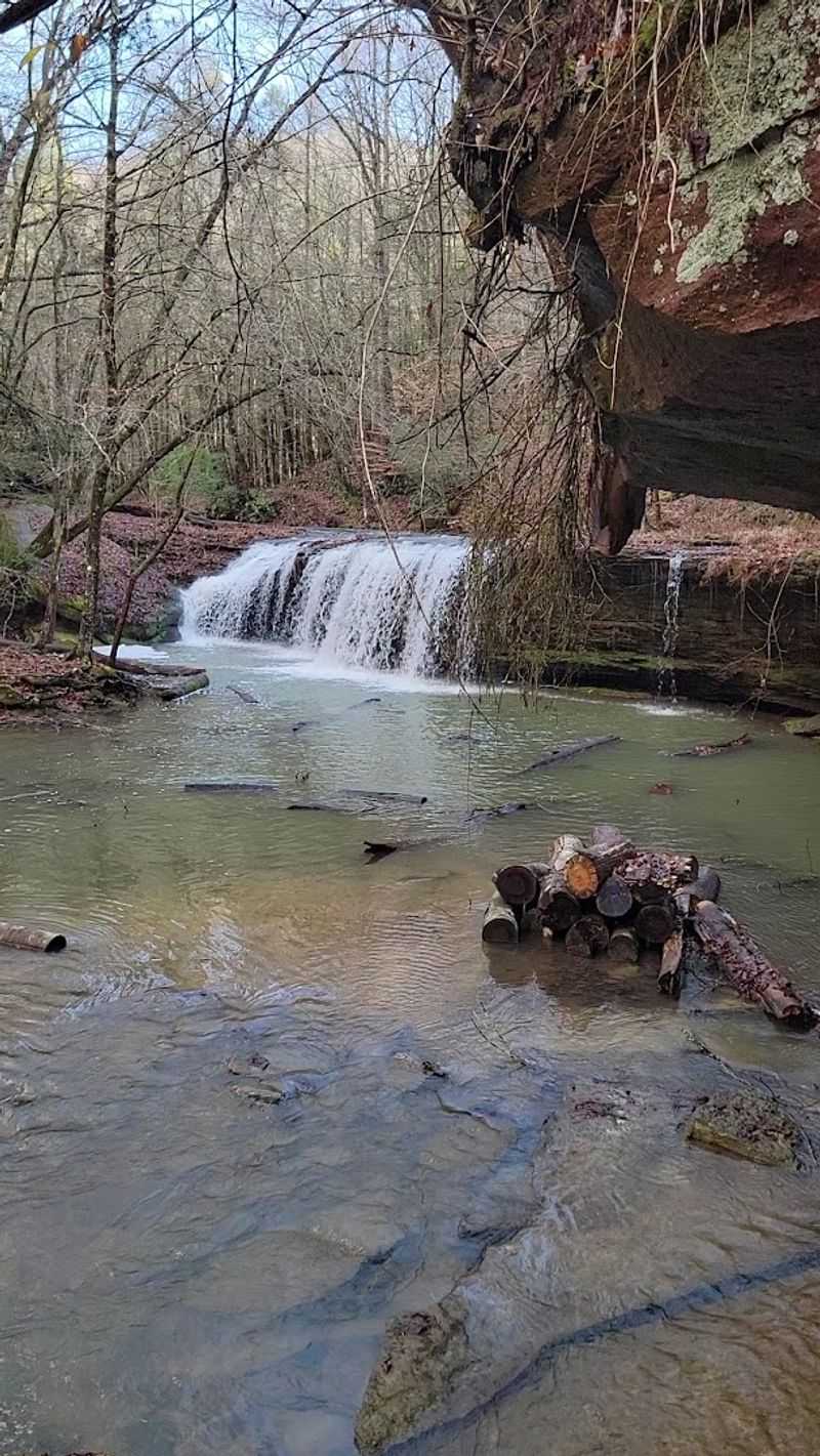Princess Falls Trail