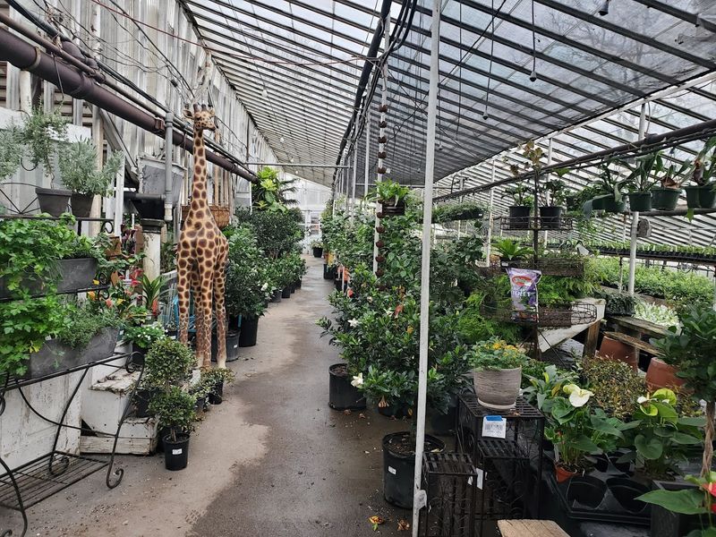 16 Garden Shops In Kentucky That Are Worth A Spring Road Trip - Decor Hint Pemberton's Greenhouse