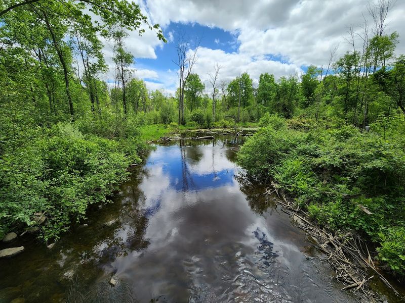 The Ancient Petroglyphs At The End Of This One Mile Michigan Hike Are Worth Every Single Step It Takes To Get There - Decor Hint The River That Resets Your Whole System