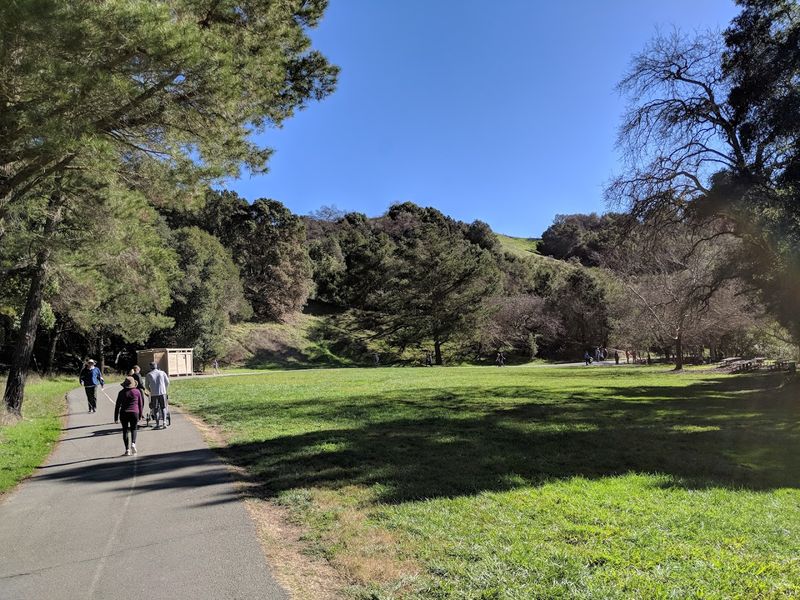 These 13 Dog-Friendly Trails In Northern California Are Perfect For A Weekend Outing - Decor Hint Lafayette Reservoir Recreation Area, Lafayette