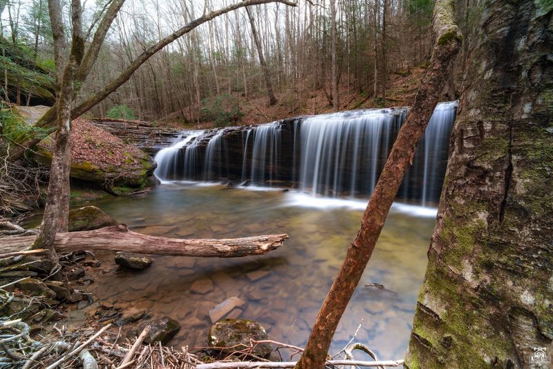 Princess Falls Trail
