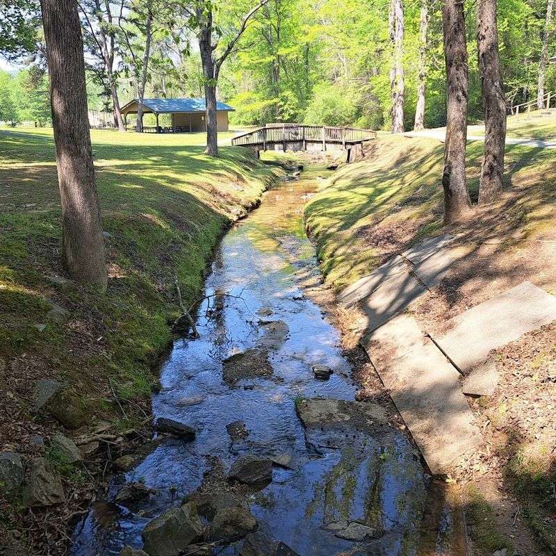 Walking Trails That Reward Every Pace