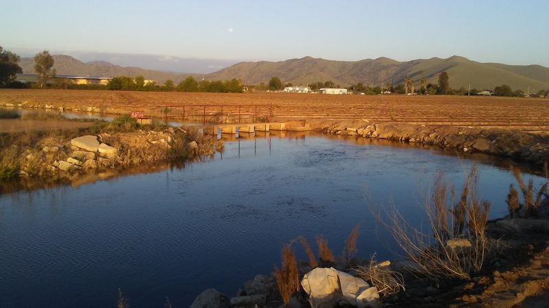Orosi, California