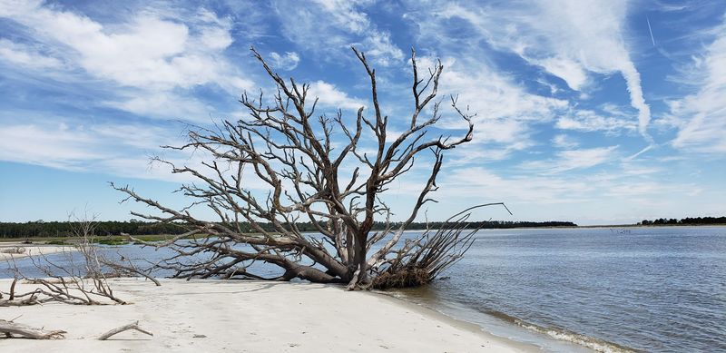 Cabretta Island Beach