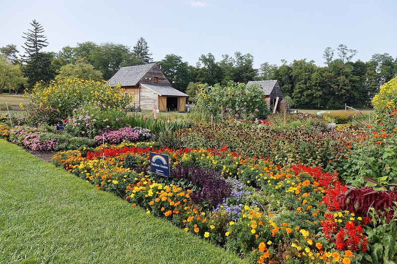 A Historic Garden Filled With Color And Charm