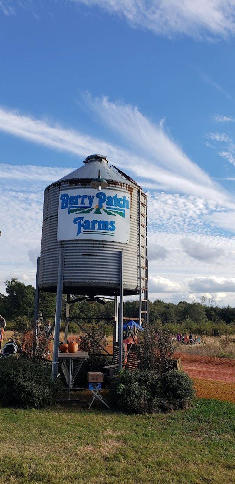Berry Patch Farms