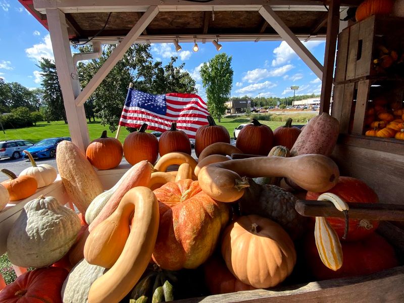 Seasonal Specialties That Make Every Visit Feel Different
